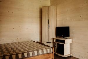 a bedroom with a bed and a flat screen tv at Sadyba u Gansa in Svityazʼ