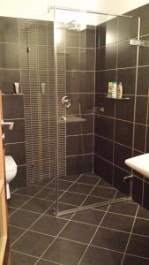 A bathroom at Sofia Apartment Kázmér