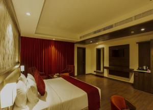 Sarovar Portico, Somnath的电视和/或娱乐中心