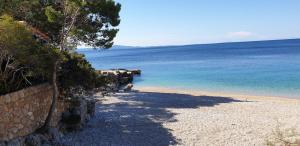 a sandy beach next to the ocean with a tree at Luxury beach in Ivan Dolac