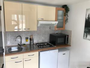 eine kleine Küche mit einer Spüle und einer Mikrowelle in der Unterkunft Les Appartements de St-Etienne in Fécamp