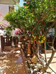 Foto dalla galleria di B&B Lety ad Alghero