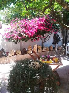 Giardino di B&B Lety