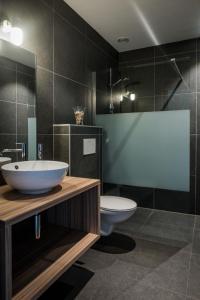 a bathroom with a sink and a toilet at Vakantiehoeve Berckelaer in Sint-Gillis-Waas