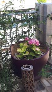A garden outside Kate-Mari House