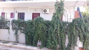 The building in which Az apartmant is located
