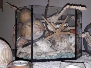 a glass container filled with shells and a starfish at Holiday home Stiniva in Vis