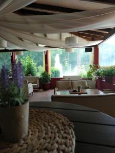 Fotografie z fotogalerie ubytování DAMIA HOTEL Apts v destinaci Sidari