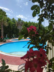 Bazén v ubytování DAMIA HOTEL Apts nebo v jeho okolí