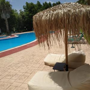 Bazén v ubytování DAMIA HOTEL Apts nebo v jeho okolí