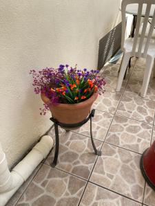 Gallery image of Poppys Chambres d'Hotes in Céret