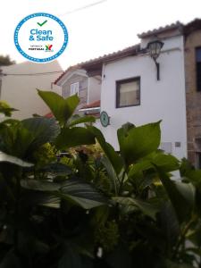 una planta con hojas verdes frente a un edificio blanco en Casa Luís de Camões - Boutique & Literary House, en Santar