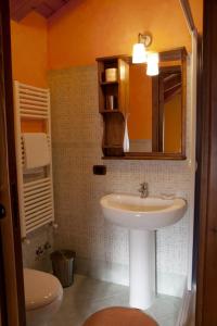 uma casa de banho com um lavatório, um espelho e um WC. em Villa Nigro em Laureana Cilento