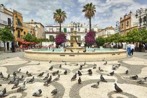 a flock of pigeons standing in front of a fountain at Beautiful & Cozy Apart. Pool & Parking-Downtown in Sanlúcar de Barrameda
