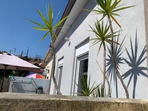 twee palmbomen voor een gebouw bij Campanhã Boutique Station in Porto