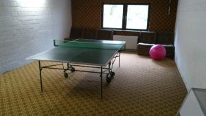 una mesa de ping pong en una sala de espera con una bola rosa en Ferienwohnung Am Paradies, en Bad Lauterberg