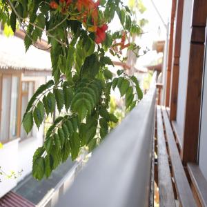 Balkón nebo terasa v ubytování Limon Pansiyon 2