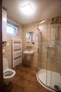 uma casa de banho com um WC, um lavatório e um chuveiro em Ubytování Na prženských pasekách em Mikulŭvka