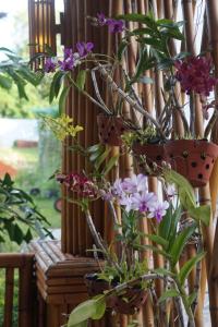 un ramo de flores en macetas en una valla de bambú en Phu Quoc Hotel en Phu Quoc