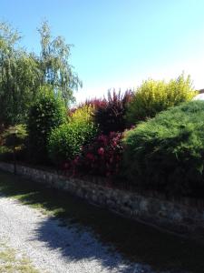 Zahrada ubytování Cascina Stralla