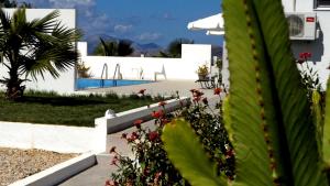 Fotografia z galérie ubytovania Xenos Villa 4 - Luxury Villa With Private Swimming Pool Near The Sea v destinácii Tigaki