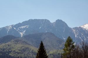 una cordillera con árboles en primer plano en Pokoje Gościnne Pod Gubałówką, en Zakopane