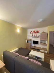 uma sala de estar com um sofá e uma televisão em Apartmani Danica em Nerezine