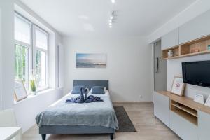 グダニスクにあるLux Apartment New&Nice Gdańskのベッドと薄型テレビのある寝室
