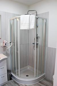 a shower with a glass enclosure in a bathroom at Catalleya Haus in Langenlois