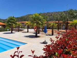 a resort with a swimming pool and palm trees at Gojim Casa Rural in Armamar