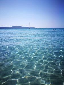 ein großer Wasserkörper mit viel in der Unterkunft Affittacamere la Medusa in Porto Pino