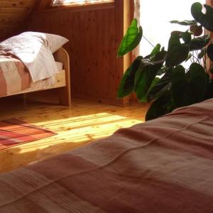Postel nebo postele na pokoji v ubytování Villa Giulia Vendégház
