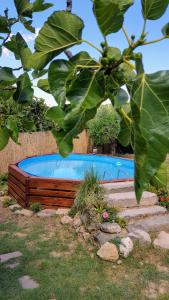 ein Pool im Garten mit einem Baum in der Unterkunft Affittacamere da Zia Michelina in Pontedera