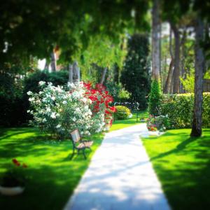 Zahrada ubytování Hotel Eurovil Garni + 37 fotografií