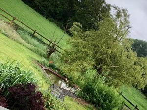Um jardim no exterior de Tobernaglough Wexford pet friendly country b&b