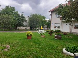 Zahrada ubytování Rooms Luka