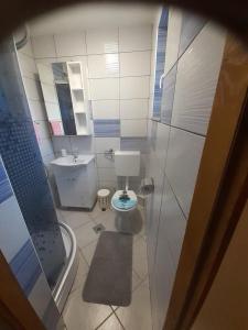 Koupelna v ubytování Rooms Luka