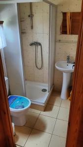 een badkamer met een douche, een toilet en een wastafel bij Domek Wakacyjny Kacperek Drewniany in Stegna +10 foto's