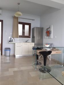 Kuchyň nebo kuchyňský kout v ubytování Senior Suite Zeus