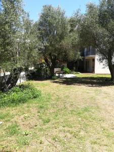 un patio con dos árboles y un edificio en Appartamento Sole e Mare, en Palinuro