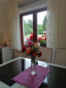 Billede fra billedgalleriet på House Jezerka i Jezerce + 42 billeder