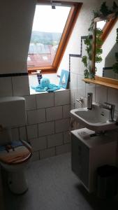 uma casa de banho com um lavatório, um WC e uma janela. em Ferienwohnung-Panoramablick em Gemünden an der Wohra