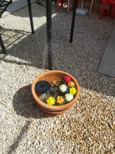 een mand met bloemen op de grond bij CASA IV in Vama Veche