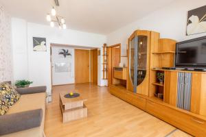 a living room with a couch and a tv at Apartman Lana in Baška