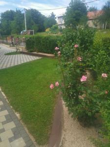 Vonkajšia záhrada v ubytovaní Apartman Nika