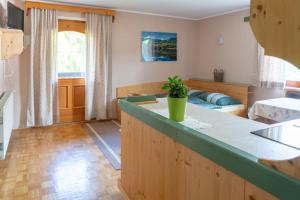 a kitchen and living room with a couch in the background at Apartments Maja by the river in Bohinj