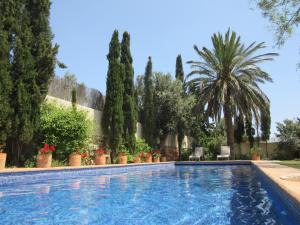einen Pool in einem Garten mit Bäumen und Pflanzen in der Unterkunft Casa el Arenal in Níjar