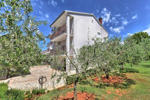 Vonkajšia záhrada v ubytovaní Brezac olive garden apartment