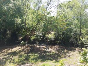 A garden outside Casa Rural La Maquinilla
