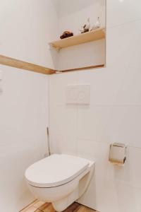 a white bathroom with a toilet and a shelf at Ein Zimmer Apartment Bernau mit großer Garage incl in Bernau am Chiemsee